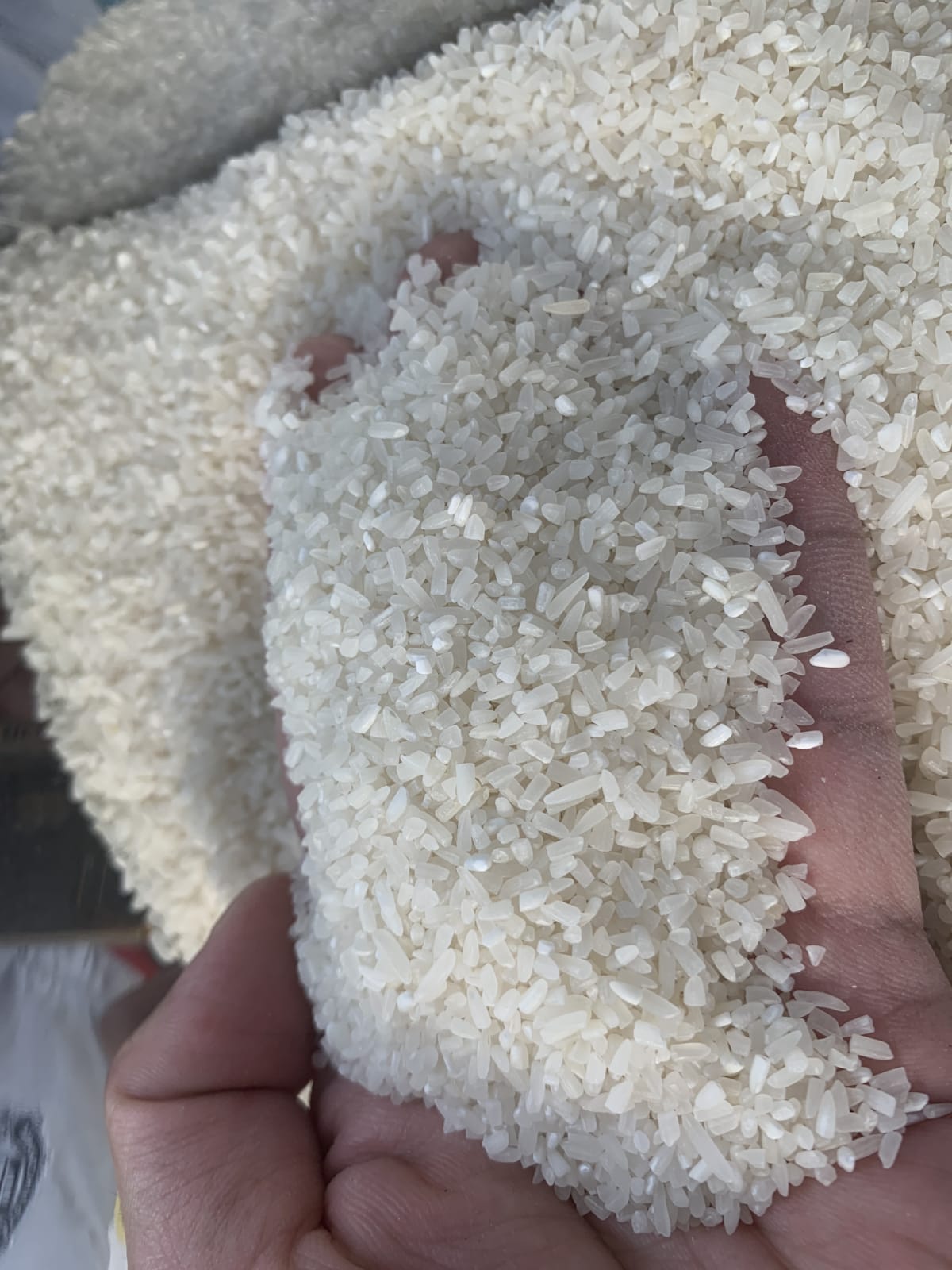 closeup-main - Tấm ST25 (kg)