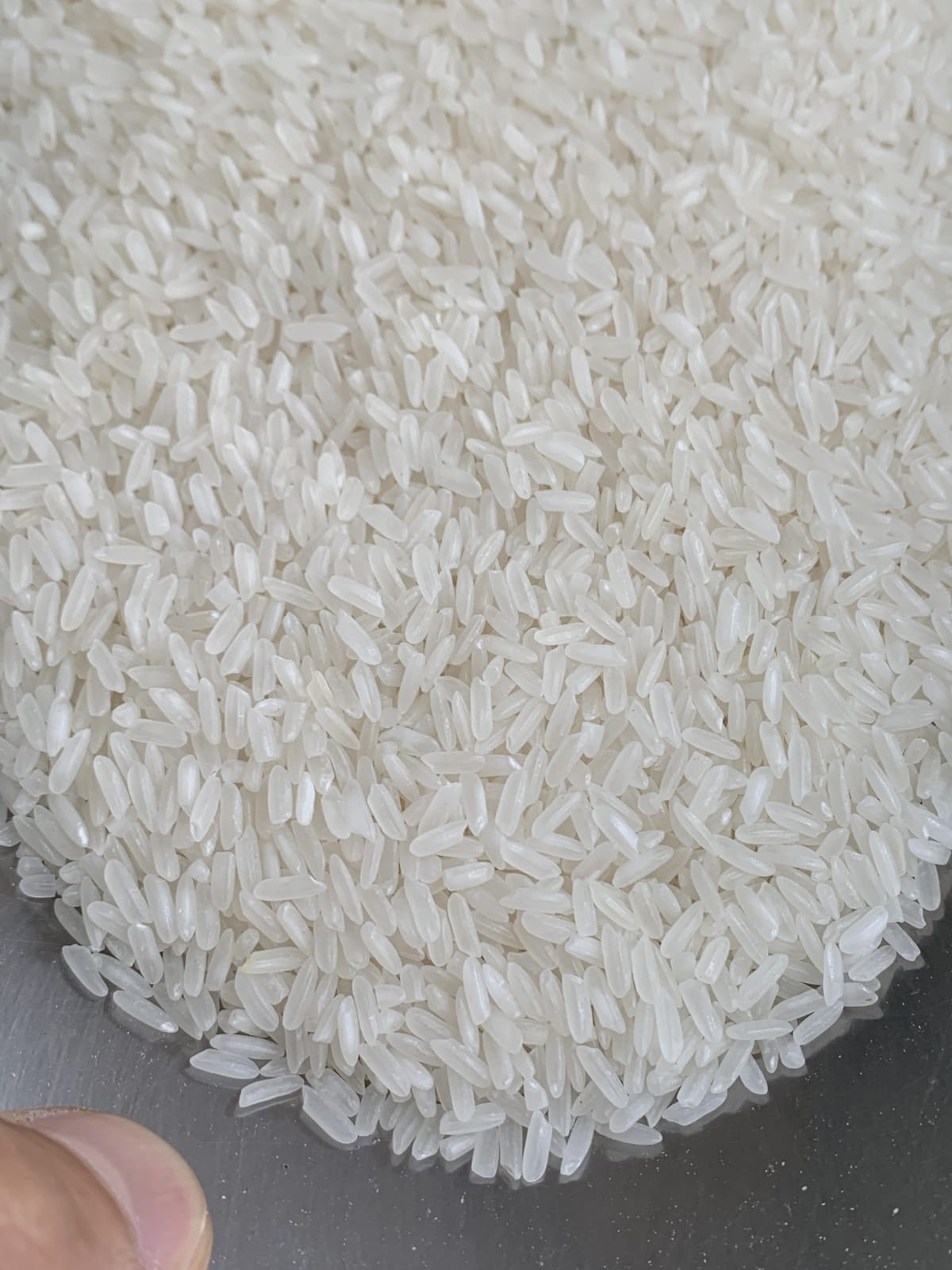 closeup-main - 504 - Lở (kg)