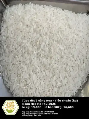 Nàng Hoa