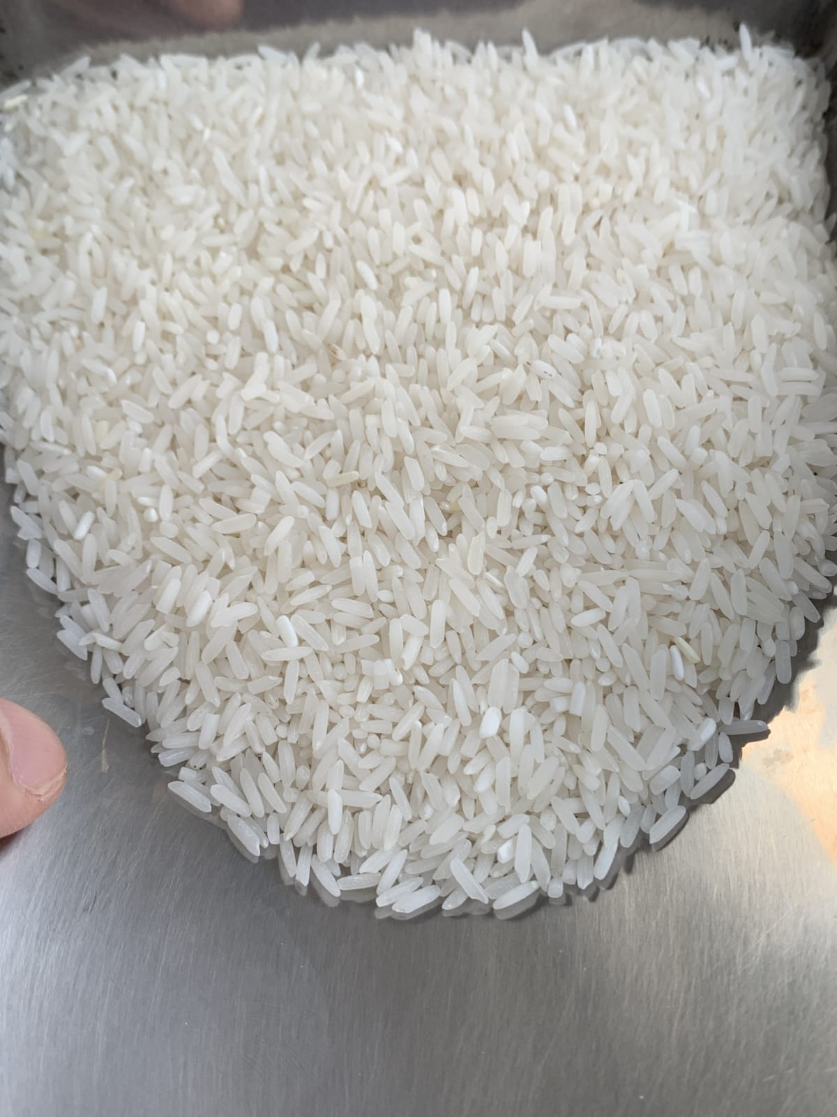 closeup-main - Thơm Lài Sữa (49) (kg)