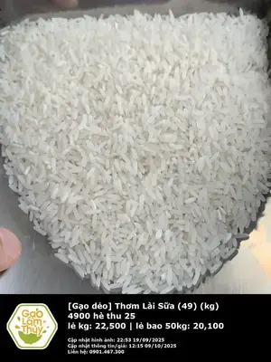 Thơm Lài Sữa (49)