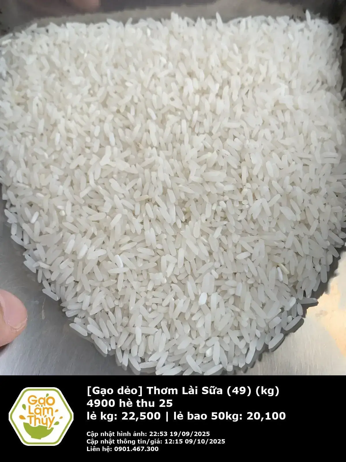 Thơm Lài Sữa (49)