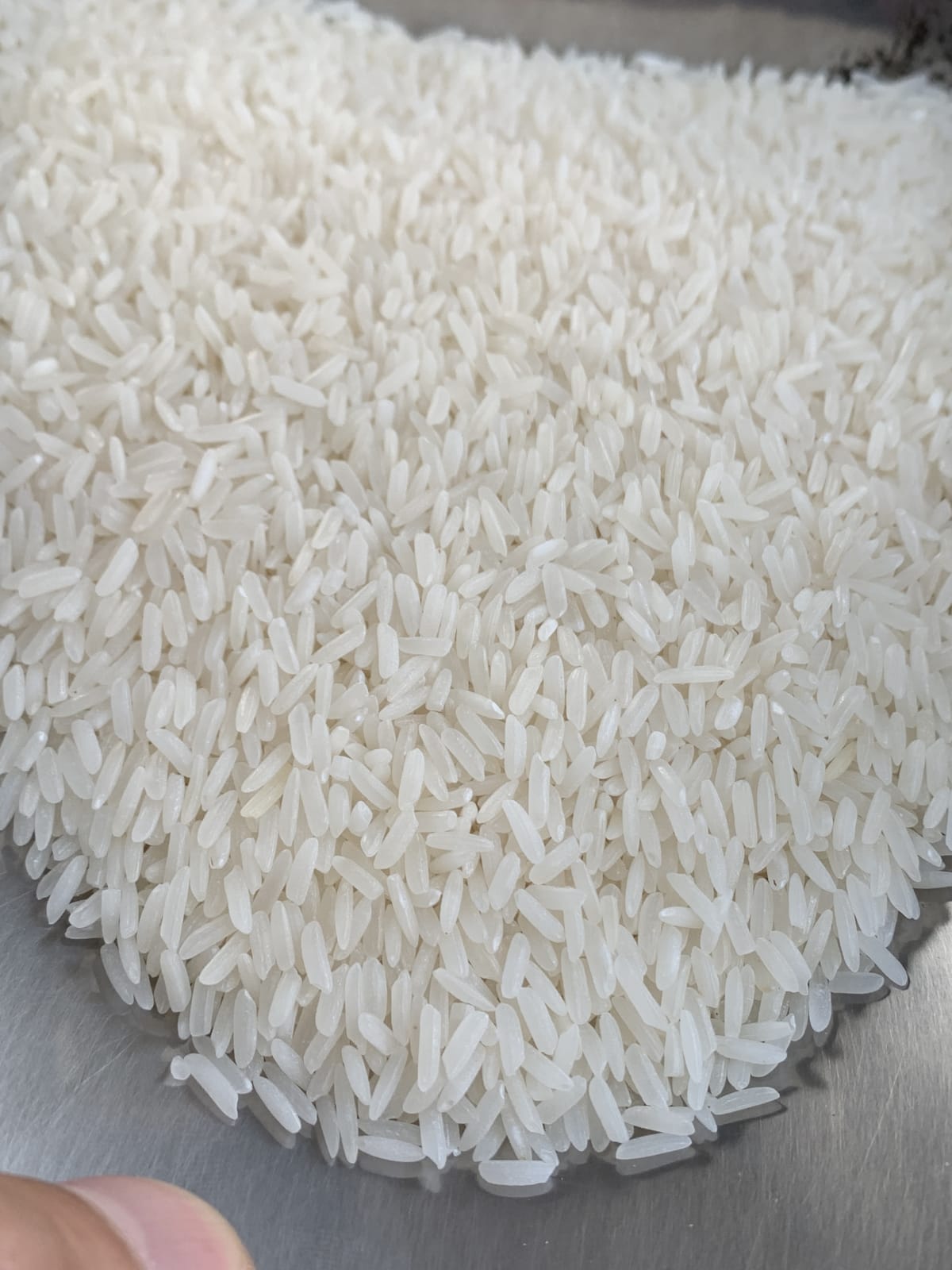 closeup-main - Lài Miên (kg)