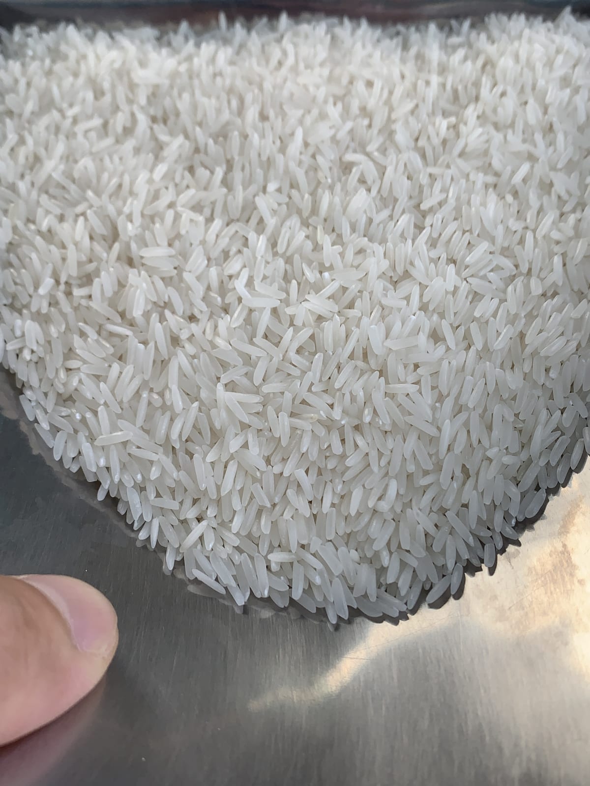 closeup-main - ST25 (kg)