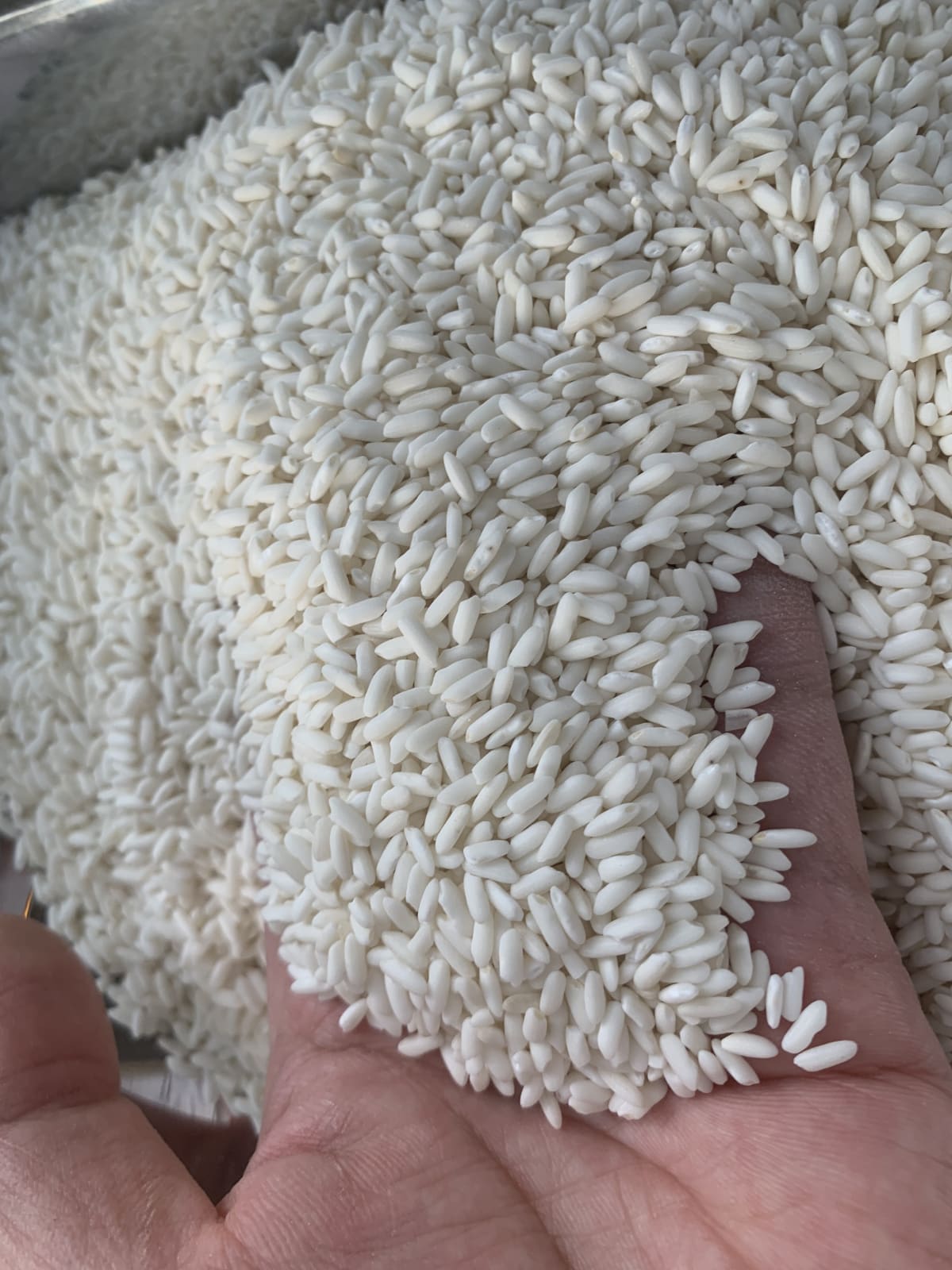 closeup-main - Nếp Chùm - Tiêu chuẩn (kg)