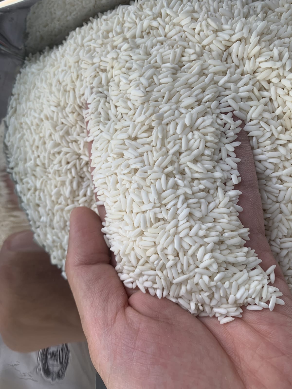 closeup-main - Nếp Sáp Ngỗng (kg)