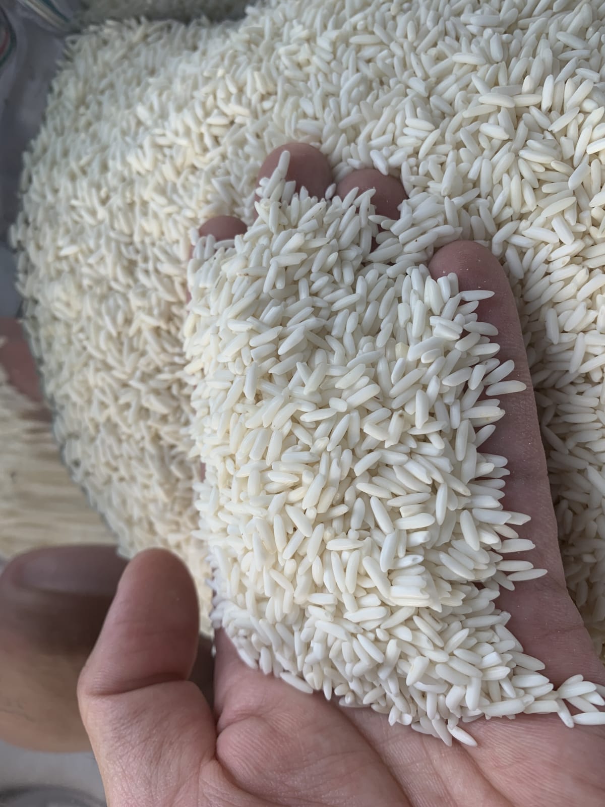 closeup-main - Nếp Thái nhập Lily Flower - Thai Hom Mali Rice (kg)