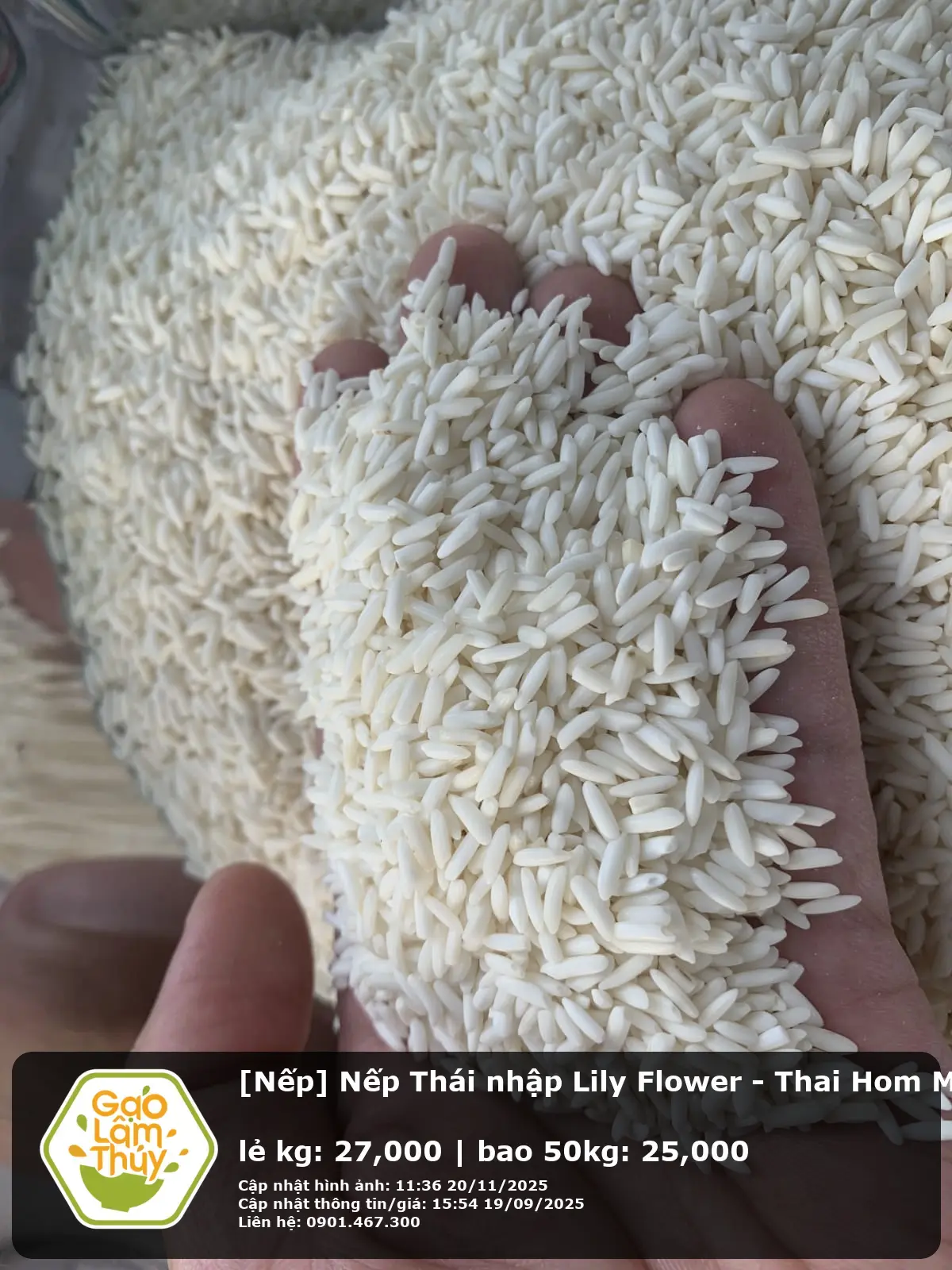 Nếp Thái nhập Lily Flower - Thai Hom Mali Rice