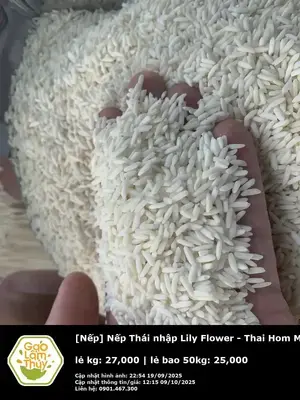 Nếp Thái nhập Lily Flower - Thai Hom Mali Rice