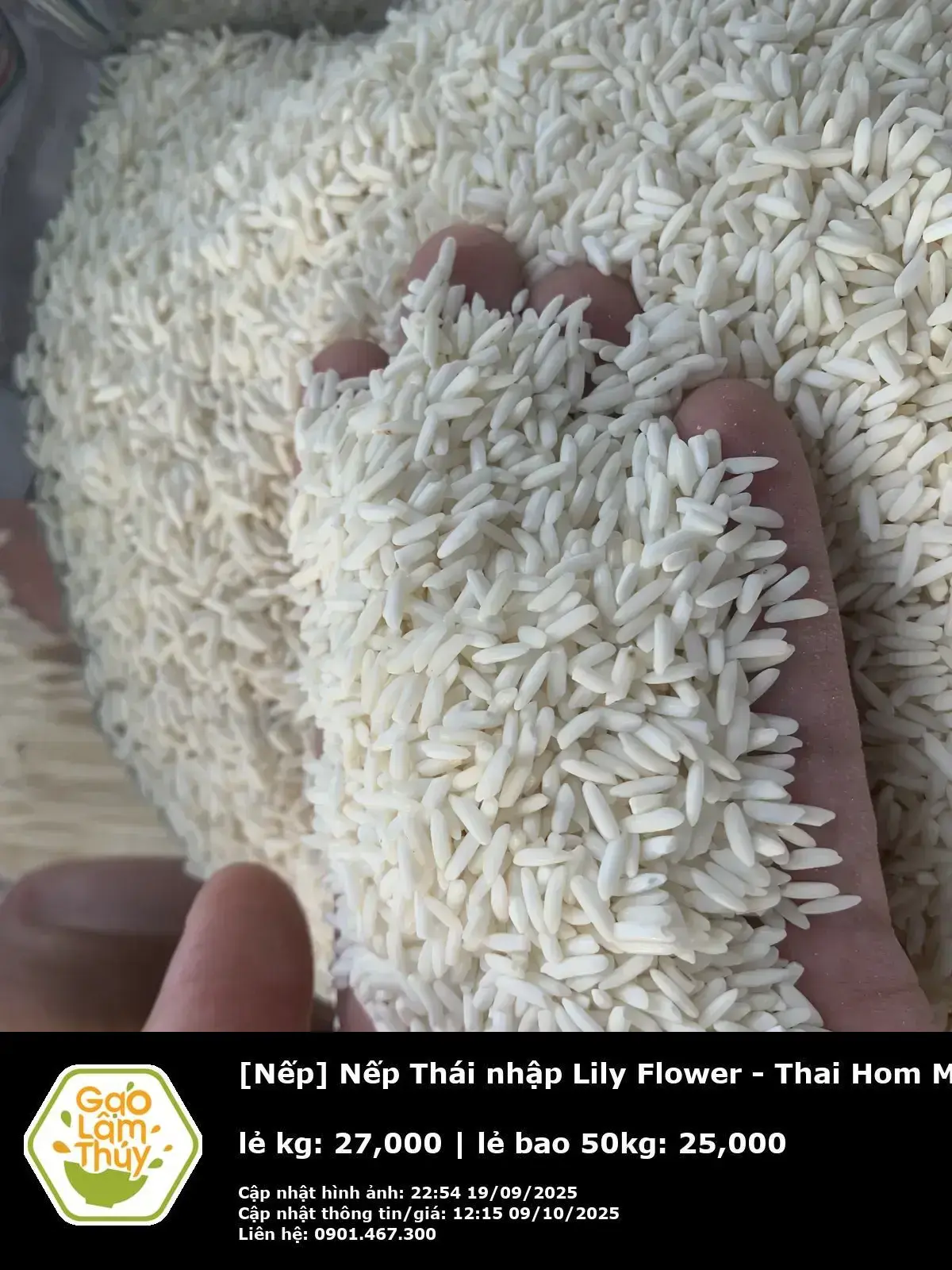 Nếp Thái nhập Lily Flower - Thai Hom Mali Rice