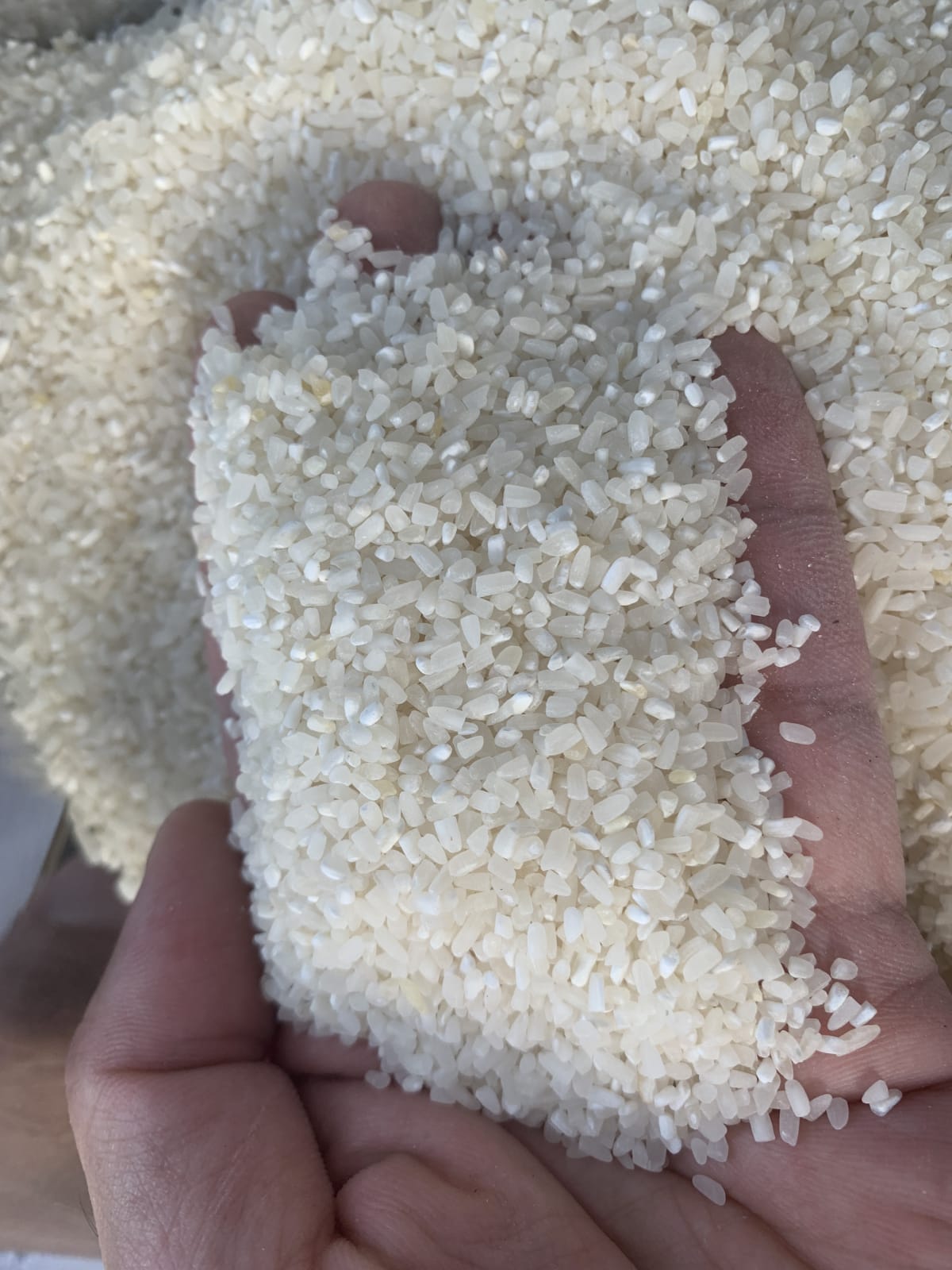 closeup-main - Tấm dẻo (kg)