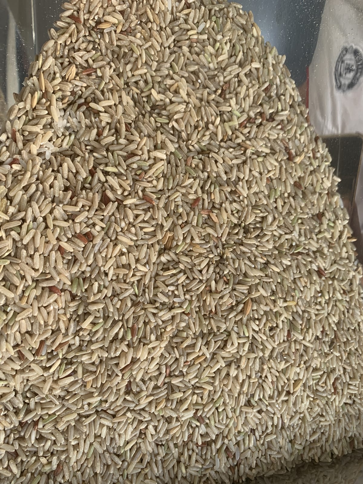 closeup-main - Lứt gà (kg)