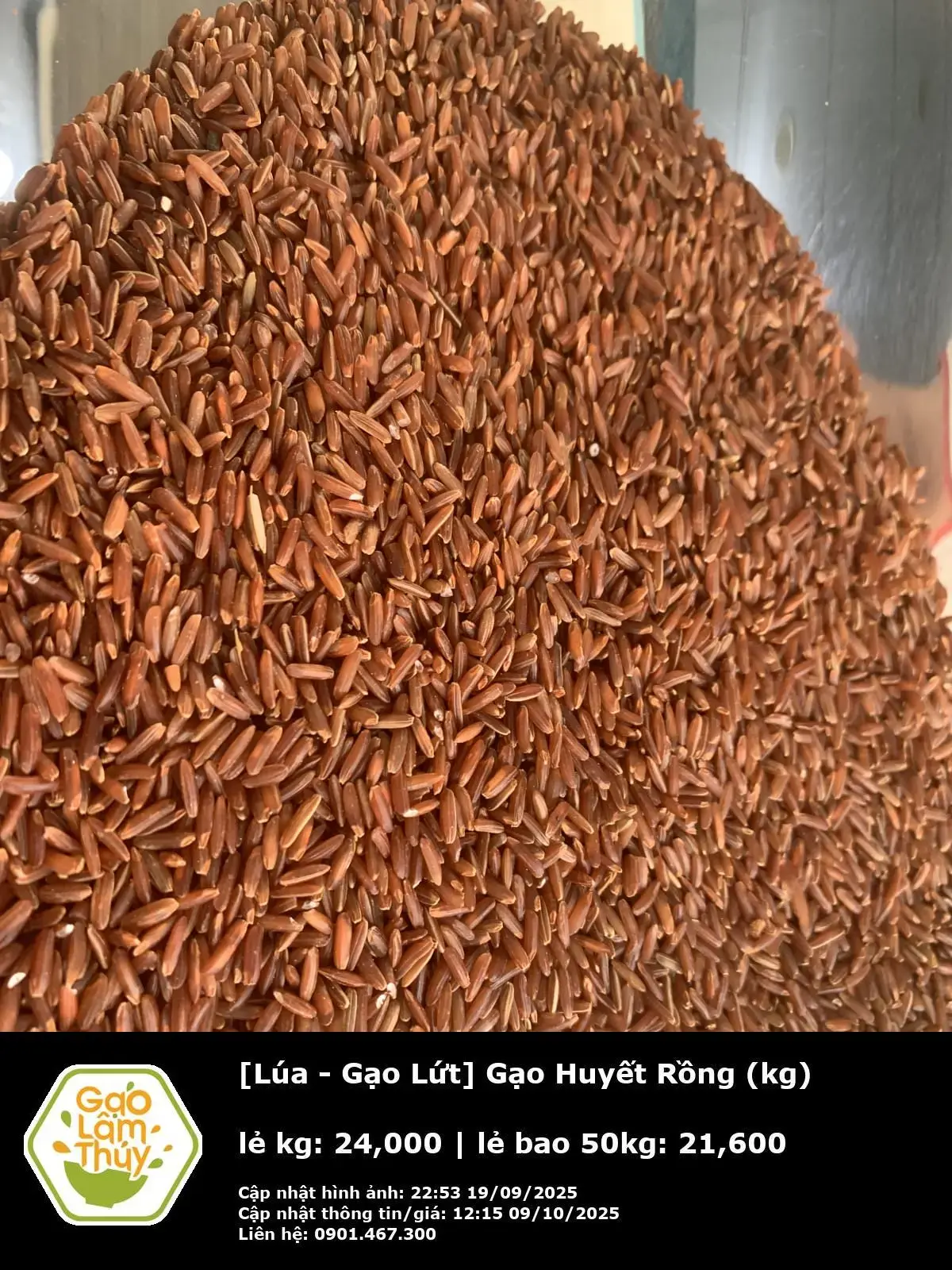 Gạo Huyết Rồng