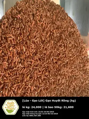 Gạo Huyết Rồng