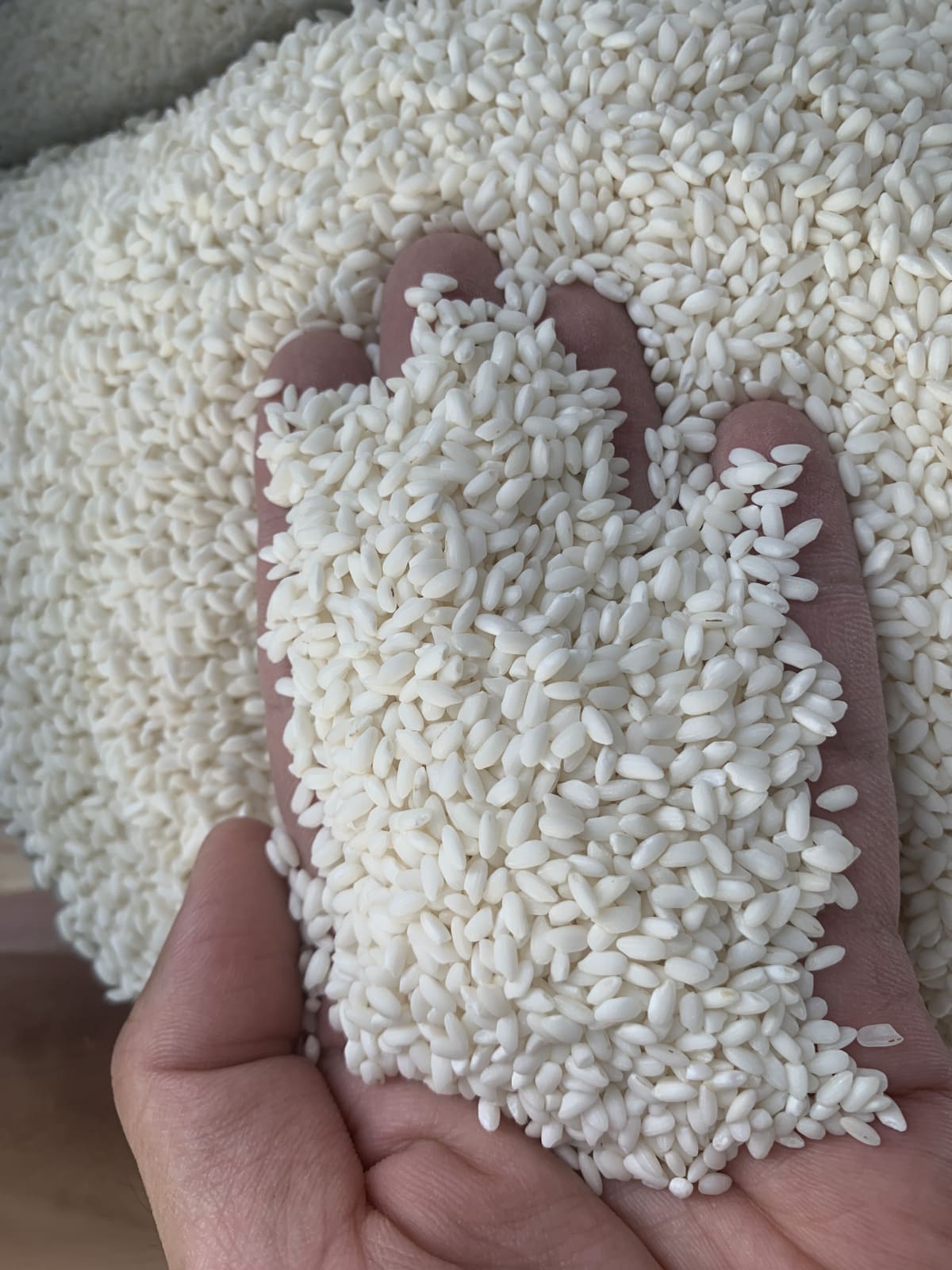 closeup-main - Nếp Bắc Dâu (kg)